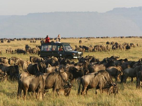Rekero Camp - Game Drive 